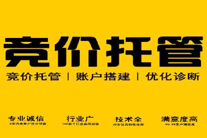实战案例：SEM广告投放的优化策略